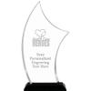 10.25" H Pinnacle Health Care Heroes Acrylic Award - Personalized Presentation Trophy for Frontline Workers, Includes Free Laser Engraving Prime view 1