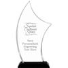 10.25" H Pinnacle Superior Customer Service Acrylic Award - Personalized Presentation Trophy for Recognition, Includes Free Laser Engraving Prime view 1