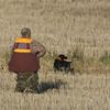 AUSCAMOTEK Upland Field Vest for Deer Bird Hunting with Brown and Blaze Orange, Adjustable, Multiple Pockets, and Recoil Pad XL/XXL view 2