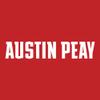 AH01 - Austin Peay Governors Basic Block HOODIE - 3X-Large - Red view 2