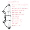 AMEYXGS Compound Bow and Arrow Set Draw Weight 30-55lbs Draw Length 24"-29.5" Adjustable Aluminum Right Hand Composite Bow for Adult (Black Bow Set) view 2