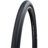 Schwalbe view 1