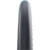 Schwalbe view 2