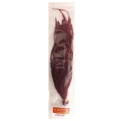 Whiting Farms Schlappen Bundles 6 10 in White Dyed Claret