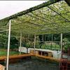 EIIDJFF Camo Netting Sun Shade Sun Protection Terrace Mesh Photography Shooting Theme Party Decoration view 3
