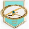 Snowflake Designs Aerial Gymnastics Pin - #1421 view 1