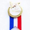 Snowflake Designs Kip Award Gymnastics Ribbon Pin - #1709 view 1