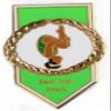 Snowflake Designs Back Tuck Award Gymnastics Pin - 1655 view 1