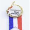 Snowflake Designs Handspring Vault Gymnastics Pin - #1711 view 1