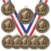 10 Pack of Language Arts Gold Medals Trophy Award with Neck Ribbons MA view 1