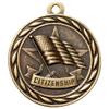 10 Pack of Citizenship Citizen Gold Medals Trophy Award with Neck Ribbons MA view 2