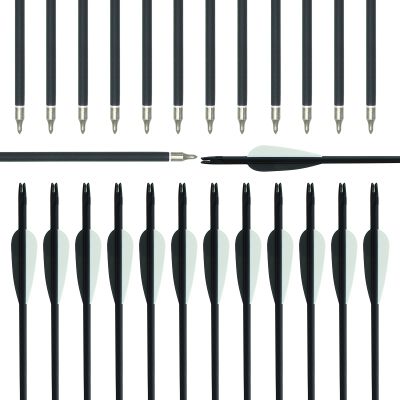 RUOERSI 32" Archery Carbon Arrows 550 Spine Hunting Arrows with Vanes Replaceable Tips Targeting Practice Arrows for Compound Bow Recurve Bow Long Bow (40 Pack)