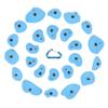 Atomik Rock Climbing Holds Set of 24 Golfus Style Climbing Holds in Blue with Outdoor Hardware view 4