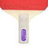 Butterfly Pang Pro-Line Table Tennis Racket - Rubber On Both Sides; for Reverse Penhold Backhand (RPB) Play - Recommended for Aspiring Professional Players - Pro-Line Series view 4