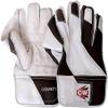 CW County Wicket Keeping Gloves with Inner Gloves Wicket Keeping Gloves Combo Padded Inner Gloves Wicket Keeping Inners view 2