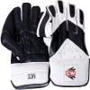 CW Crown Wicket Keeper Gloves with Inner Gloves Youth MN Wicket Keeping Combo Gloves with Inners view 2