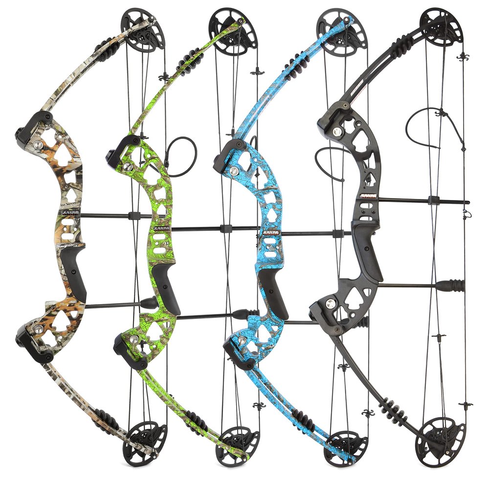 AMEYXGS Archery Compound Bows Kit Adult Hunting Bow 30-55 Lbs IBO 310fps with Accessories-No Bow Press Needed - Right Handed (Black)