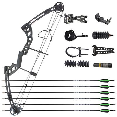 AMEYXGS Archery Compound Bow Hunting Bow with Carbon Arrows 30-55lbs Adjustable 310FPS Adult Bow Outdoor Shooting Target Practice Right Hand (Black + Accessories)