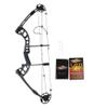 AMEYXGS Archery Compound Bow Hunting Bow with Carbon Arrows 30-55lbs Adjustable 310FPS Adult Bow Outdoor Shooting Target Practice Right Hand (Black + Accessories) view 2
