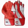 CW Diamond Cricket Keeping Gloves Wicket Keeper Gloves Wicket Keeping Gloves Hand Protector Gloves Wicket Keeping Gloves Combo with Inners Padded Wicket Inner Gloves view 3