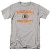 Bucknell University Official Circle Logo Unisex Adult T-Shirt, Athletic Heather, 5X-Large view 1