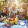 Kabab Skewer Stand Bbq Skewer Holder Stainless Steel Grill Versatile for Outdoor and Indoor Cooking view 3