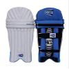 CW MAX Cricket Kit for Small Boys Cricket Practice Gear Batting Practice Equipment Elbow Guard Youth Thigh Pad Adult Batting Gloves Men's Batting Legguards Full Set Left & Right (Blue Boys) view 2
