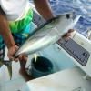 Hzkaicun Fish Ruler for Boat 40" Fish Measuring Ruler with Self-Adhesive Backing EVA Foam Fish Measuring Board for Kayak, Fishing Boat, Cooler Fish Ruler Boat Accessories-Grey view 3