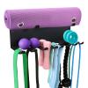 2 Tier Multi-Purpose Heavy Duty Storage Rack for Resistance Bands, Straps, Jump Ropes, Foam Rollers, Chains, Weight Belts, Tools view 1