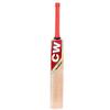 CW Storm Full Cricket Set Full Batting Set for 14+ & Above All Old Years Sports Accessories with Training Bag Sports Gears Combo Set of 9 Pieces Equipment Athletic & Outdoor Package view 3