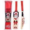 CW Challenger Kashmir Willow Cricket Set Cricket Complete Set Batting & Keeping Gears Sports Cricket Equipment Set for Men Full Size Cricket Set view 2
