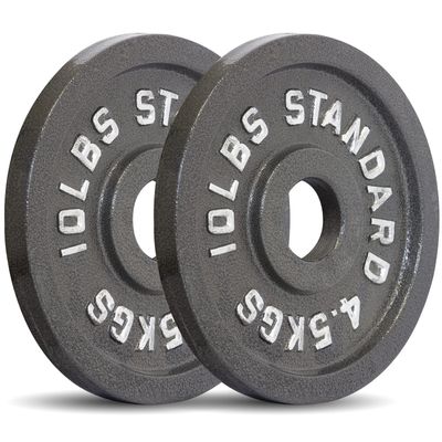 Olympic 2" Cast Iron (Hammertone/Gray) Weight Plate (10 lb Pair Only)