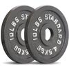 Olympic 2" Cast Iron (Hammertone/Gray) Weight Plate (10 lb Pair Only) view 1