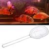 YUNSI Fishing Net Fishing Landing Net Mini Children Kids Aquarium Fish Portable Cheap Quality Fishing net view 2