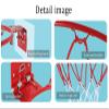 Basketball Rim Wall-Mounted Mini Basketball Hoop, Iron Basketball Hoop for Kids and Teenagers, Easy to Install Without Punching (Size : 25cm) view 4