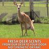 Nationwide Scents Deer Urine Wick for Hunting Whitetail Deer - Rut Scent Buck Lure - Hunting Scent Buck Attractant - Doe Pee Wick for Scent Drags - 8 Pack view 3
