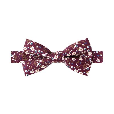 Spring Notion Boy's Cotton Floral Print Pre-tied Bow Tie, 47-Wine Large