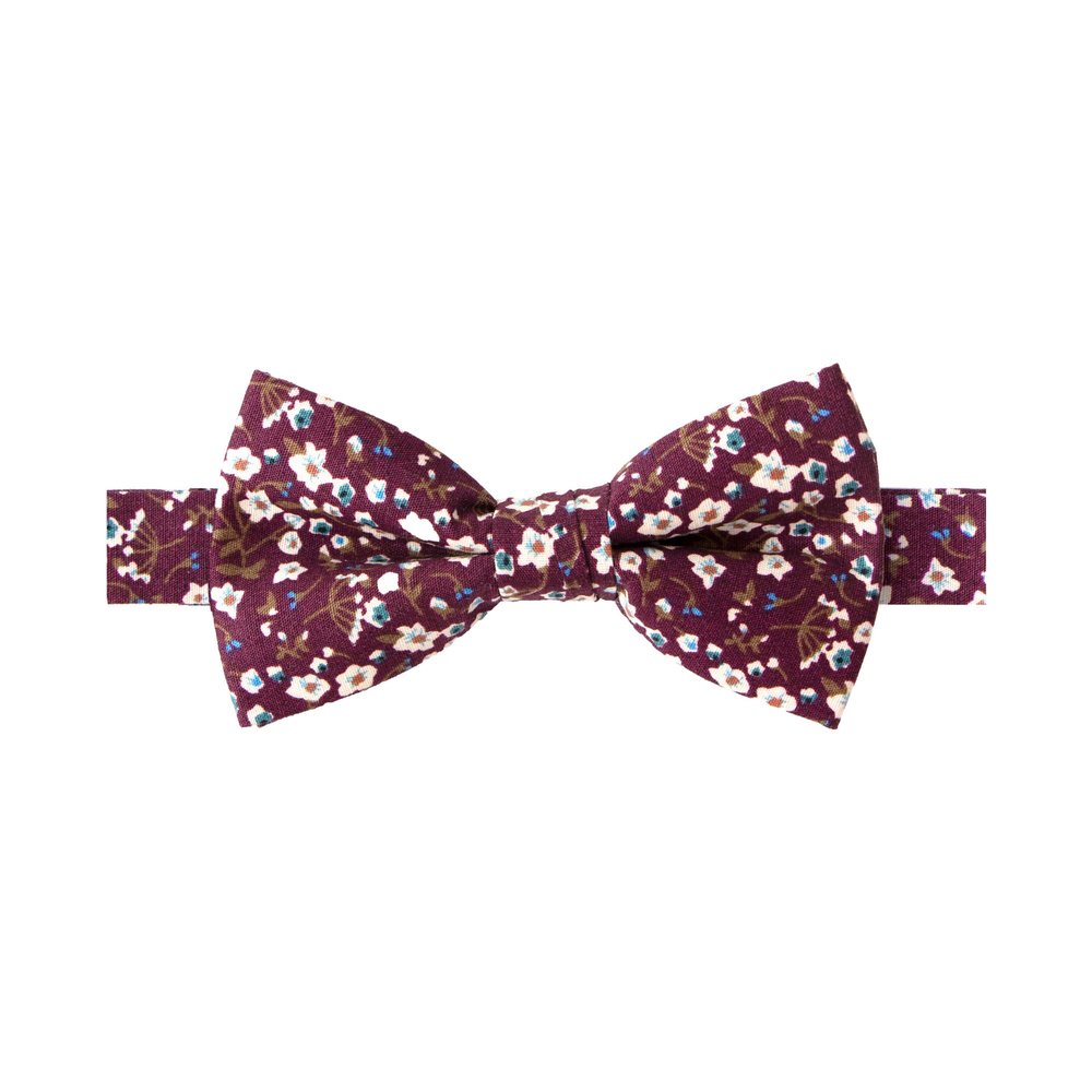 Spring Notion Boy's Cotton Floral Print Pre-tied Bow Tie, 47-Wine Large