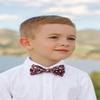 Spring Notion Boy's Cotton Floral Print Pre-tied Bow Tie, 47-Wine Large view 3