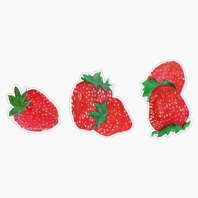 CNW Studio Strawberries Vinyl Waterproof Sticker Decal Car Laptop Wall Window Bumper Sticker 5"