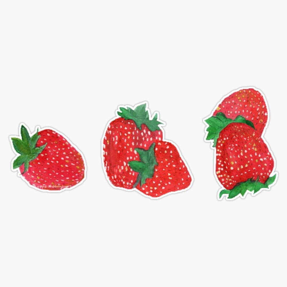 CNW Studio Strawberries Vinyl Waterproof Sticker Decal Car Laptop Wall Window Bumper Sticker 5"