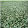 Camo Netting Sun Shade Outdoor Sunscreen Net Jungle Wild Sunshade Sunscreen Thickening Shade Protection Net EIIDJFF 522 view 1