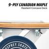 Osprey | Twin Tip Longboard, 39inch, Complete Skateboard, 7-PLY Canadian Maple Deck, for Adults, Kids and Beginners, Sunset Multiple Colours view 4