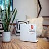 Calvin University College Official Academic Logo Weatherproof Vinyl Sticker Car Decal from Nudge Printing view 3