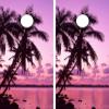GRAPHIX EXPRESS C163 Palm Trees Beach Cornhole Board WRAP Wraps Laminated Board Boards Decal Set Decals Vinyl Sticker Stickers Bean Bag Game Vinyl Graphic Tint Image view 1