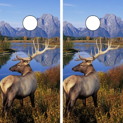 GRAPHIX EXPRESS C110 Deer Hunting Cornhole Decals - Vinyl, Brown, 24"x48", Set of 2, NCAA