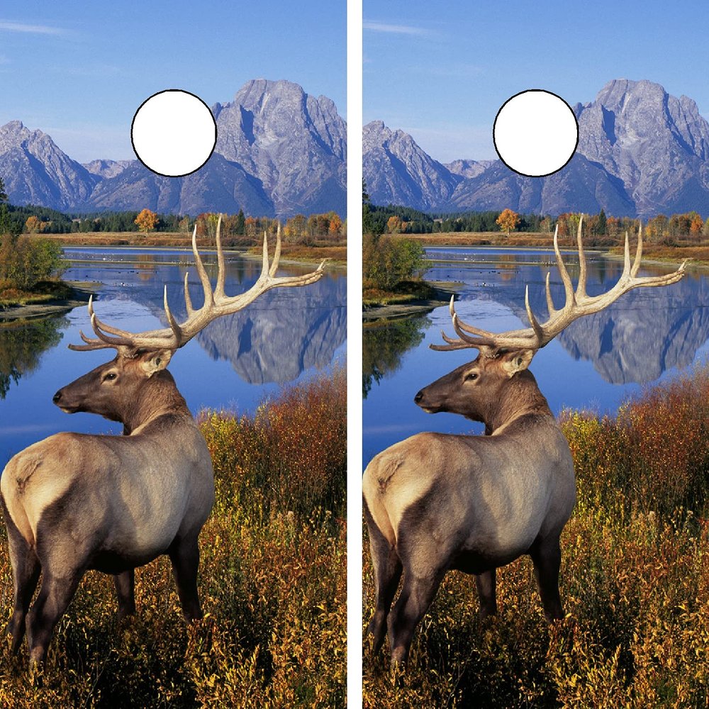 GRAPHIX EXPRESS C110 Deer Hunting Cornhole Decals - Vinyl, Brown, 24"x48", Set of 2, NCAA