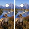GRAPHIX EXPRESS C110 Deer Hunting Cornhole Decals - Vinyl, Brown, 24"x48", Set of 2, NCAA view 1