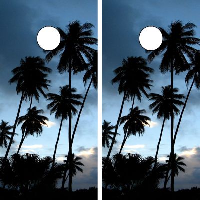 GRAPHIX EXPRESS C165 Palm Trees Beach Cornhole Board WRAP Wraps Laminated Board Boards Decal Set Decals Vinyl Sticker Stickers Bean Bag Game Vinyl Graphic Tint Image
