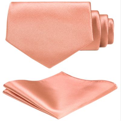 TIE G Solid Satin Color Formal Necktie and Pocket Square Sets in Gift Box (Dusty Salmon)